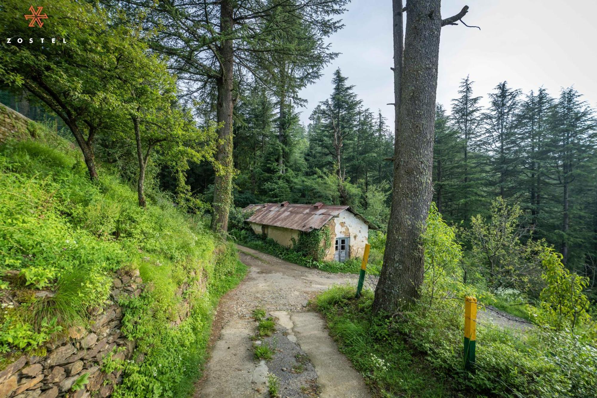 Zostel Kotgarh, Narkanda Exteriér fotografie